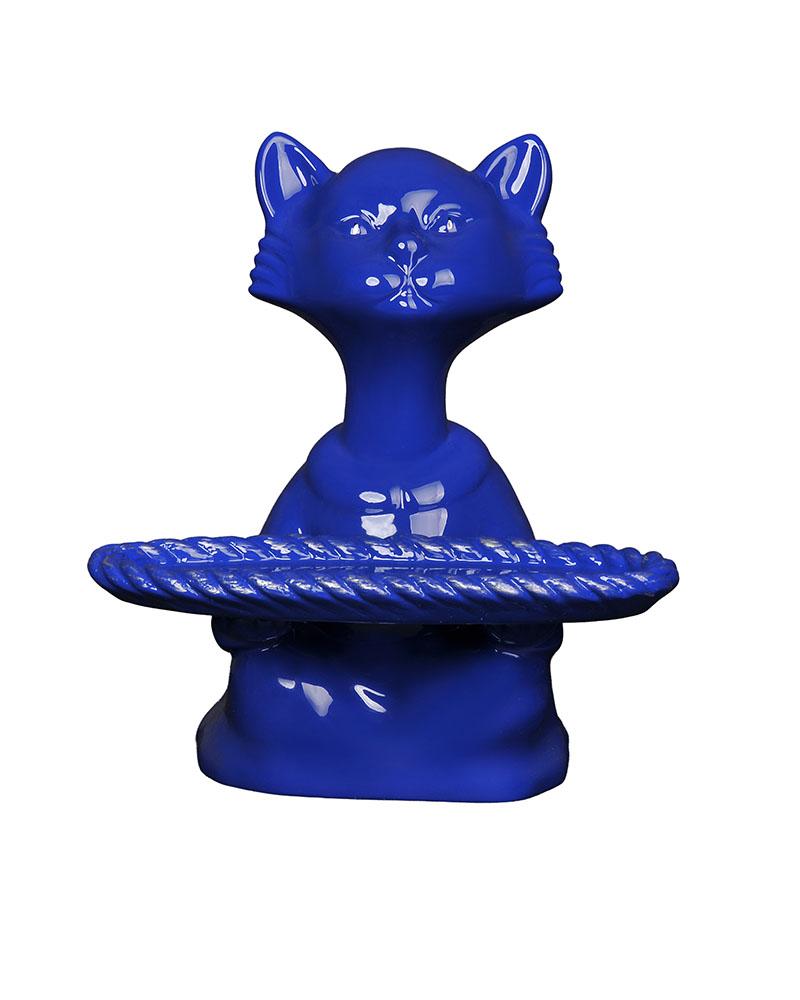 Kobalt Renk Kedi Çikolatalık